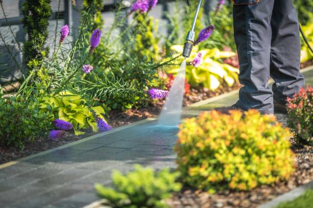 Best Concrete Surface Cleaning in Brownfield, TX